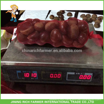 Chestnut fresco de la fábrica china de la venta embalada en bolso del yute